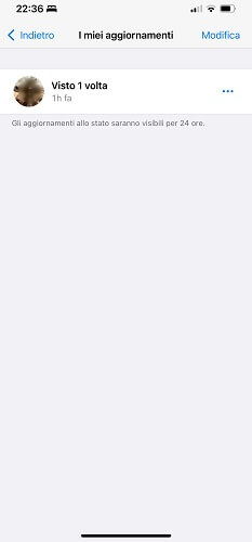 Stato Whatsapp Iphone