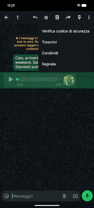 Trascrizione Messaggio Vocale Whatsapp Versione Android