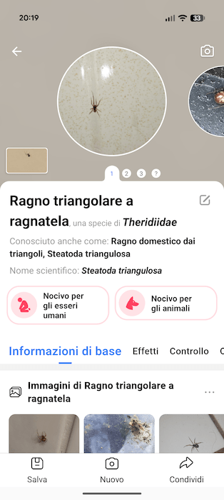 Picture Insect Risultato Ricerca